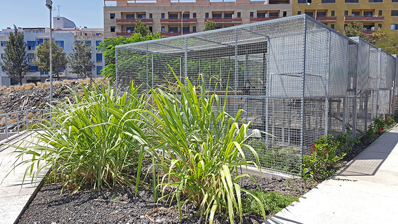 blog_2017_10_12_panormica 2