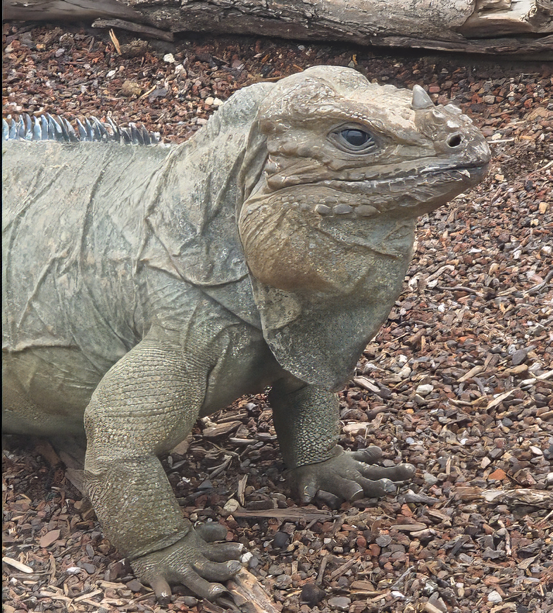 Gobierno de Canarias