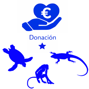 Donación simple