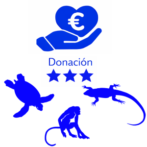 Donación Avanzada
